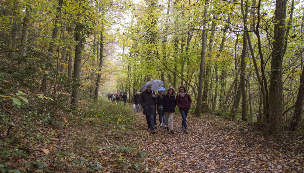 Journée d&rsquo;études à Port Royal 04/11/2016
